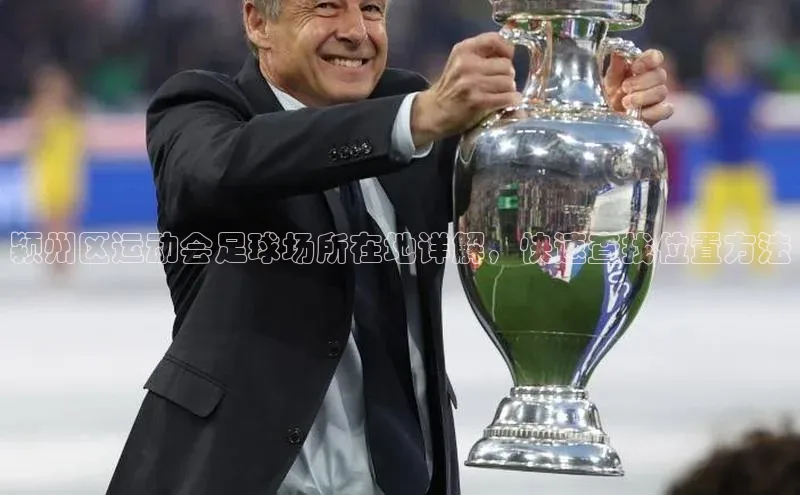 zoty中欧体育ARGA公司颍州区运动会足球场所在地详解，快速查找位置方法