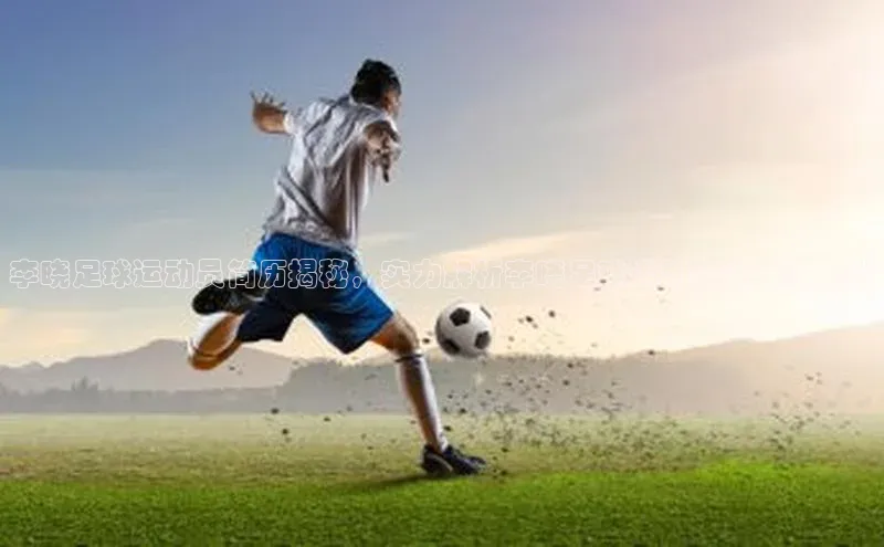 zoty中欧体育平台官网滴滴出行李晓足球运动员简历揭秘，实力解析李晓足球运动员简历及成就