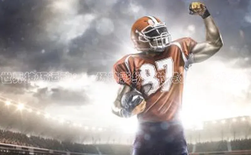 zoty官网登录入口手机版百度人工翻译世界技巧运动：一场精彩纷呈的竞技与艺术之旅