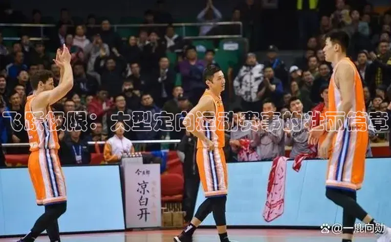 飞跃极限：大型定向运动赛事的壮丽篇章