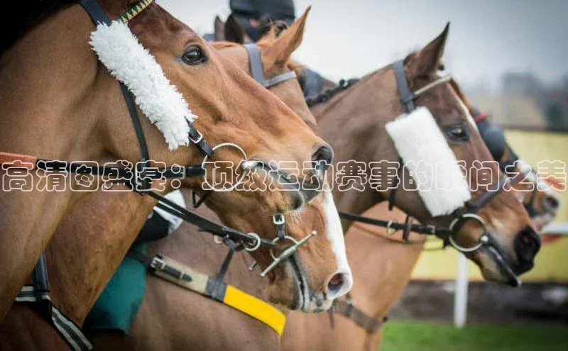 高清图盛宴：顶级运动赛事的瞬间之美