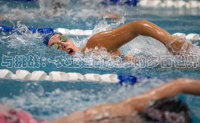 与挑战：农业运动赛事的多面世界