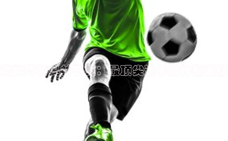 动物界的奥林匹克：最顶尖选手的神秘面纱