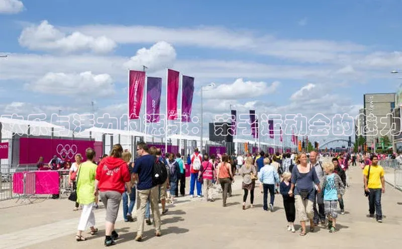 欢乐与活力的源泉：亲子运动会的魅力