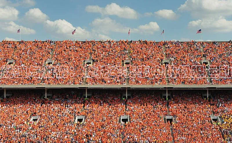 飙速与激情：摩托车赛事中的极限运动