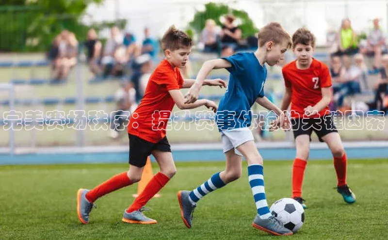 完美赛场秩序：提升赛事体验的关键因素