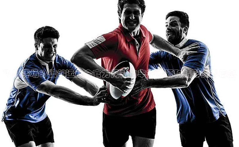 飞跃赛场：信鸽运动会官方网站的丰富资源和精彩赛事信息