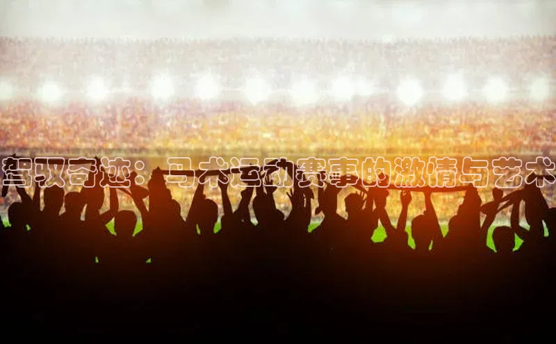 驾驭奇迹：马术运动赛事的激情与艺术