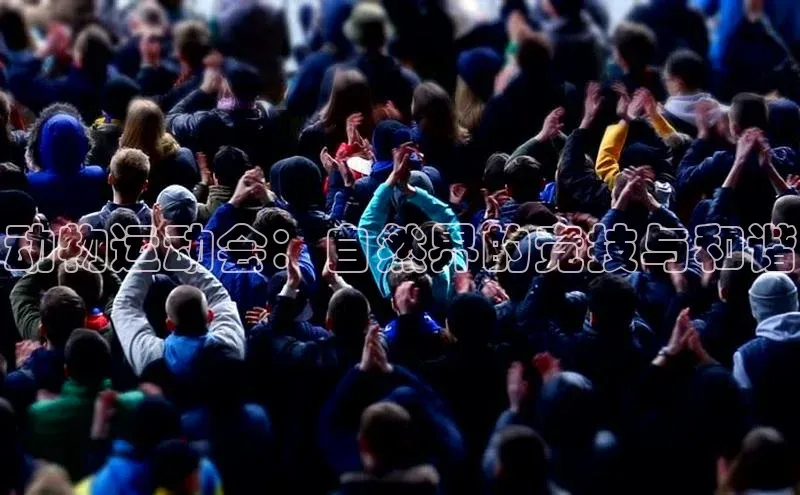 动物运动会：自然界的竞技与和谐