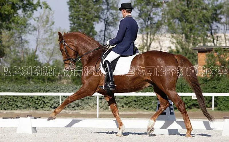 以色列的热门体育活动：那些你可能不知道的名字