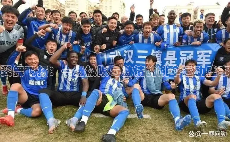 翼舞飞扬：一场极限与激情的跳伞运动盛事