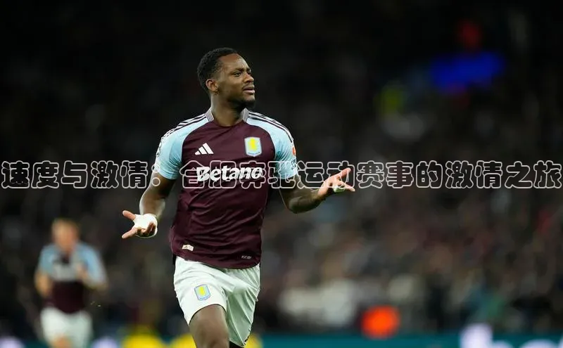 速度与激情：合肥奔驰运动赛事的激情之旅