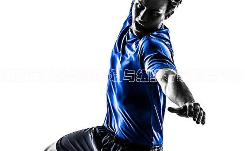 衡阳运动会赛事策划与组织专家招聘公告