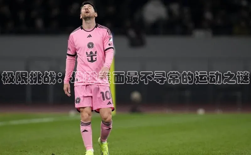 中欧体育app官方网站