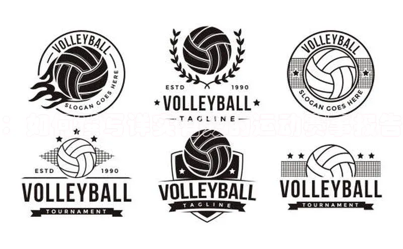 中欧体育全站app在线登录