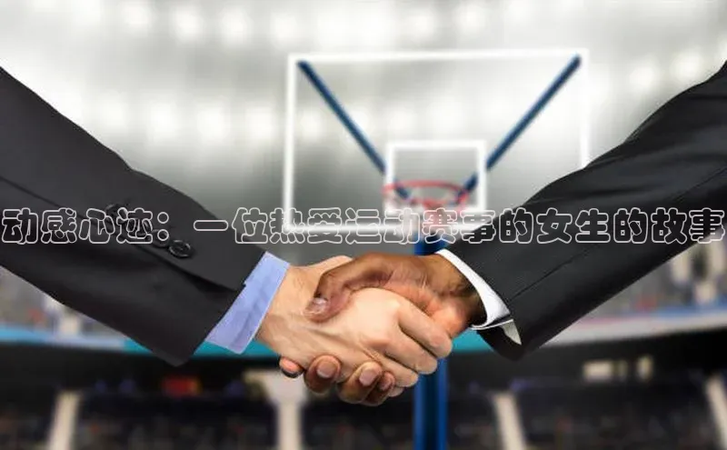 中欧体育网页版入口