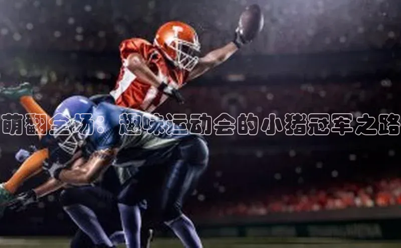 中欧体育app下载