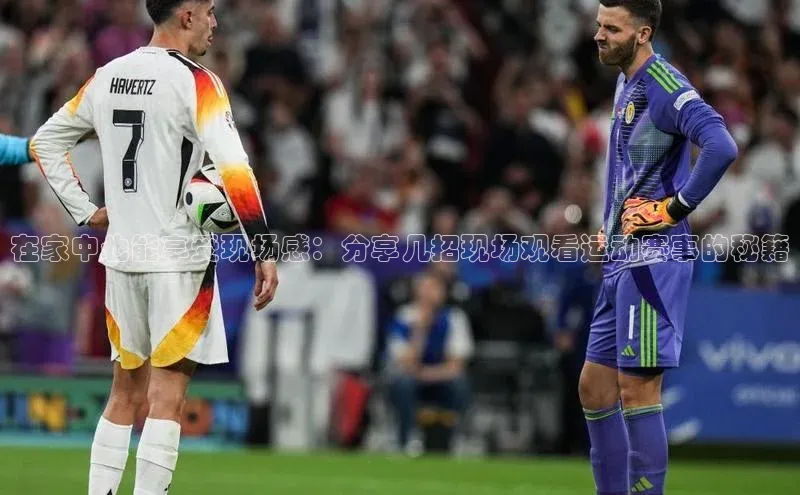 在家中也能享受现场感：分享几招现场观看运动赛事的秘籍