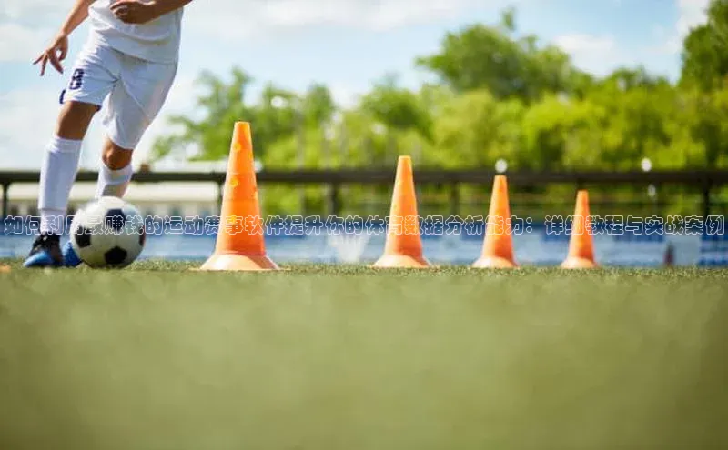 如何利用最赚钱的运动赛事软件提升你的体育数据分析能力：详细教程与实战案例