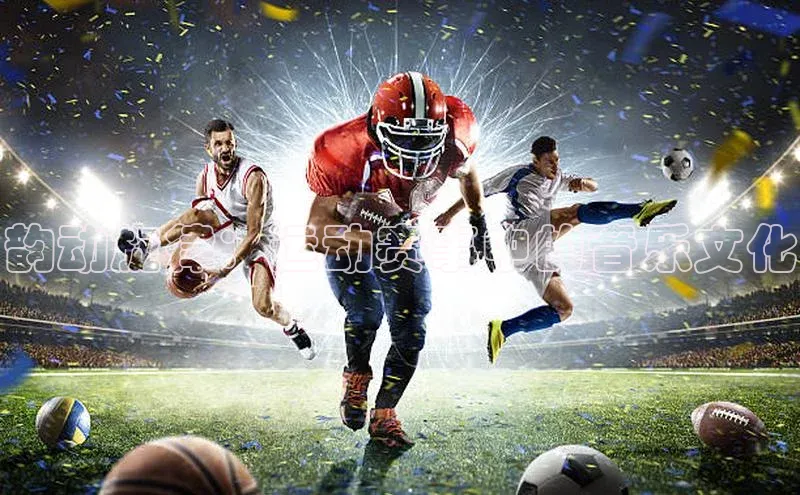 中欧体育网页版入口